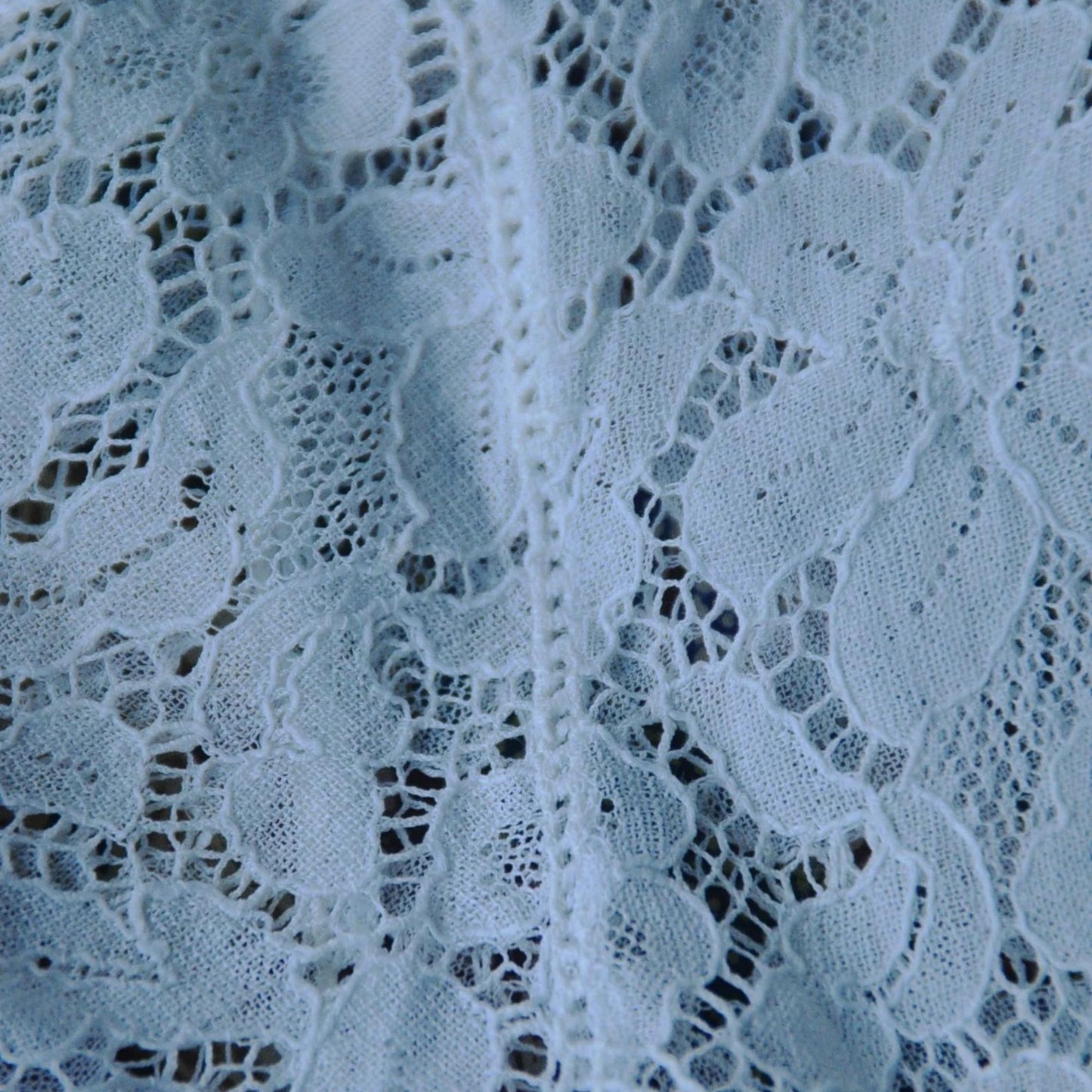 Vintage White Bluish Lace Indonesian Kebaya